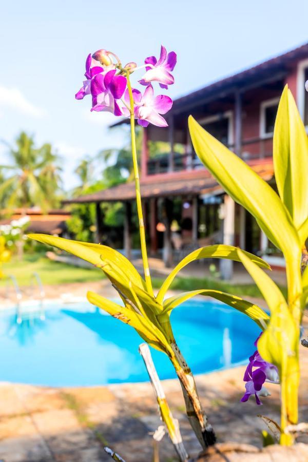 Flow Guest House Salinópolis 외부 사진